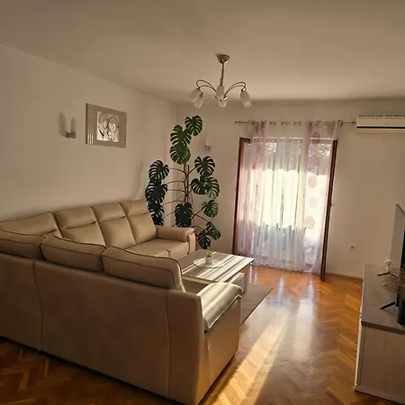 Ante Jasenice (Zadar)